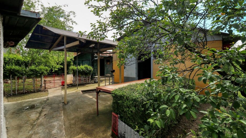Casă boierească  de poveste- 7000 mp teren - Poză 79