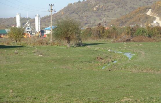 Teren Sacele - Poză 5