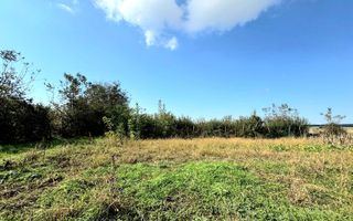 Livada+gradina, teren intravilan 2902mp, Damienesti-Bacau, comision 0 - Poză 9