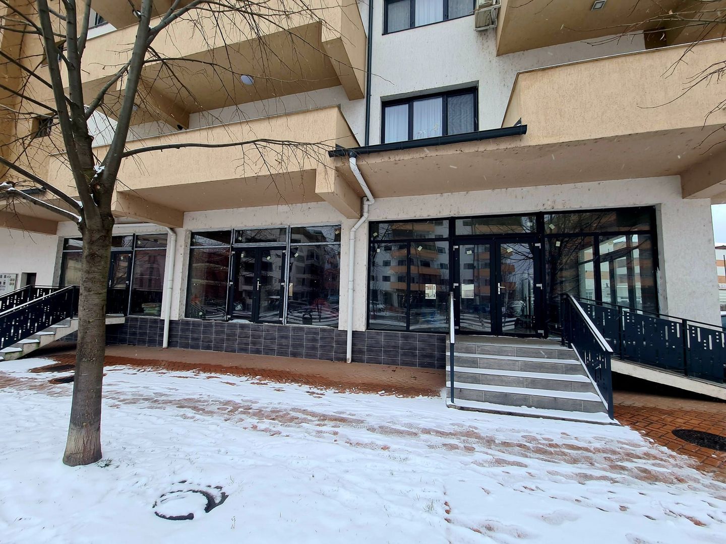 Spatii de vanzare / Dem Radulescu - Poză 1