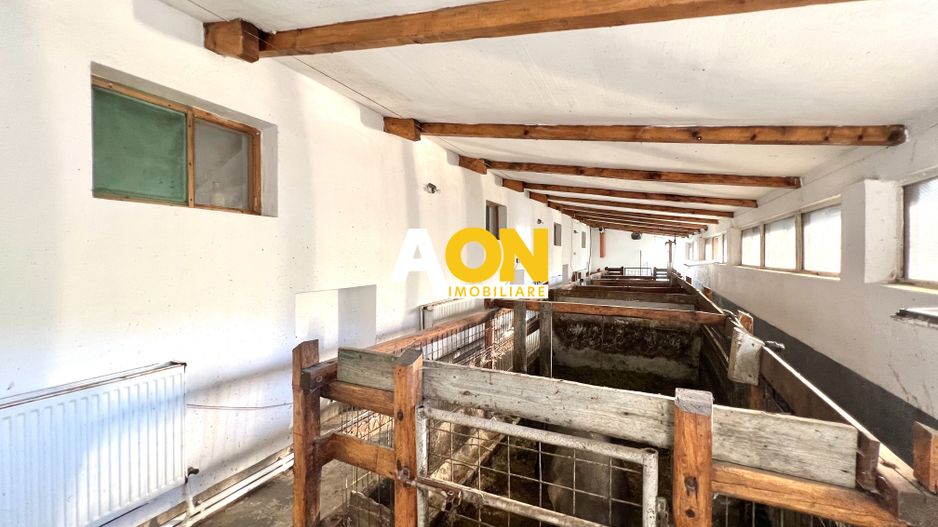 Ferma de vanzare cu 550MP utili si 27.500MP teren la asfalt - Poză 12