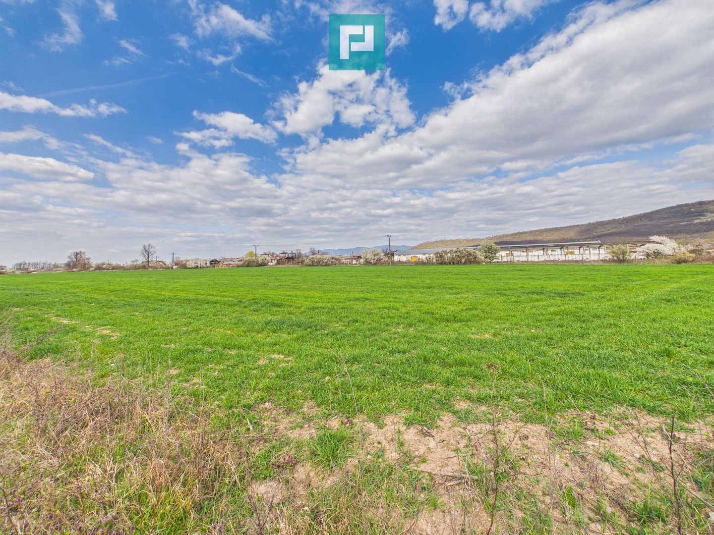 Teren extravilan, 1 ha, în orașul Sebiș, Arad - Poză 5