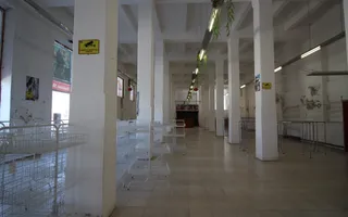 Spatiu comercial tip hala - zona semicentrala - Poză 15