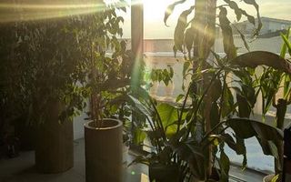 Penthouse de Lux cu 5 Camere | Vedere libera spre Herăstrău - Poză 7