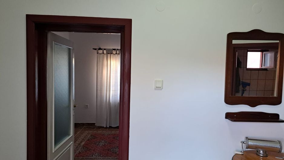 OFERTA in Băcia. Hunedoara ! Proprietate 2 case + Cabană - Poză 10