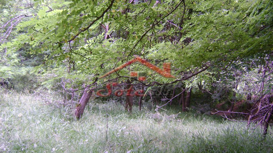 Teren de vanzare Cornu 3074 mp - Poză 4