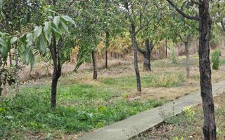 Casa indviduala cu 4 camere si teren generos - Jilava, Str. Garii - Poză 8