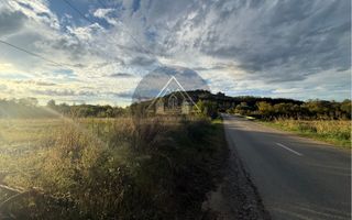 Teren extravilan Alma - Poză 5