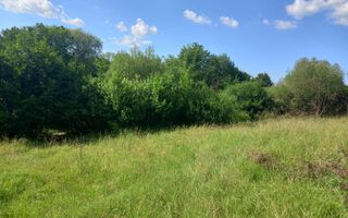 Teren în Fântânele – 3.673 mp, pârâu si cadru natural  deosebit - Poză 7