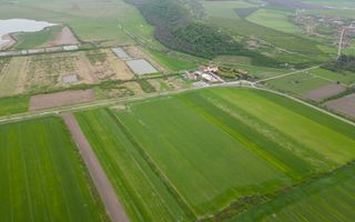 Teren extravilan de 22500mp Zona Ineu - Poză 6