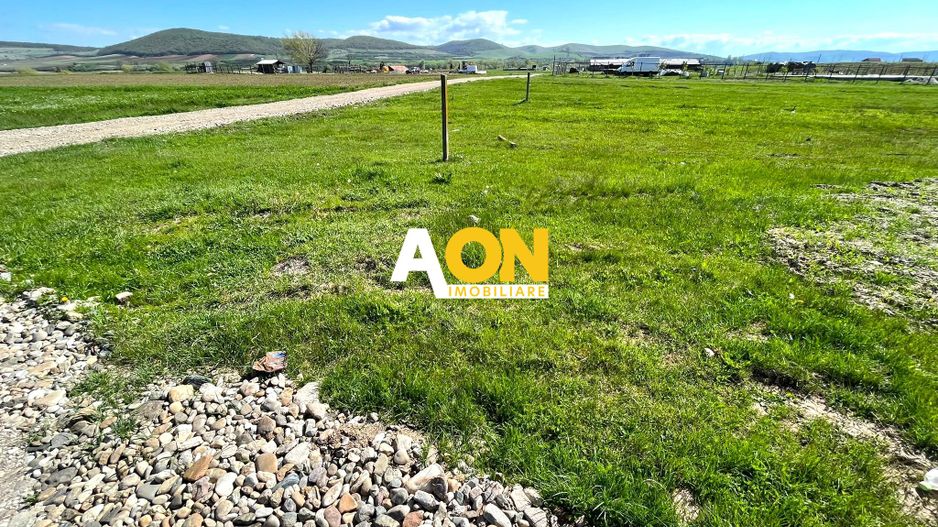 Teren de vanzare, deschidere la 2 strazi, zona Sesuri - Poză 3