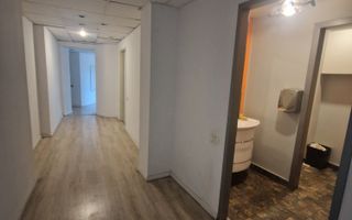 Universitate - birouri la cheie, suprafate intre 40 m² si 2500 m² - Poză 3