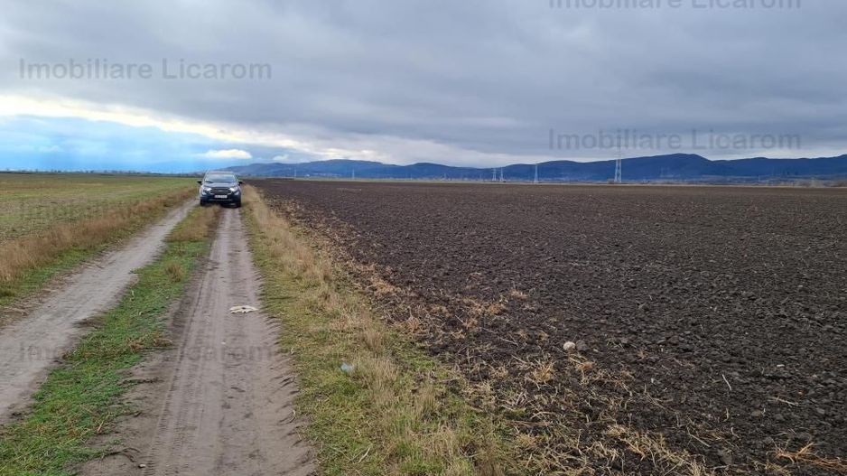 Teren Agricol 2,9 HA,intre Cristian si Vulcan/teren SPORT - Poză 1