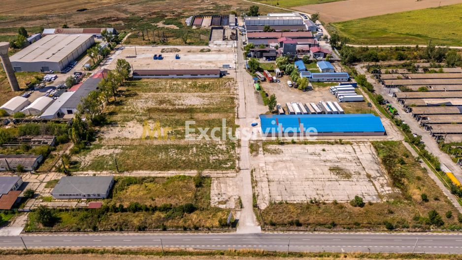 Teren industrial 16.000 mp lângă Autostrada A1 – Căteasca - Poză 4