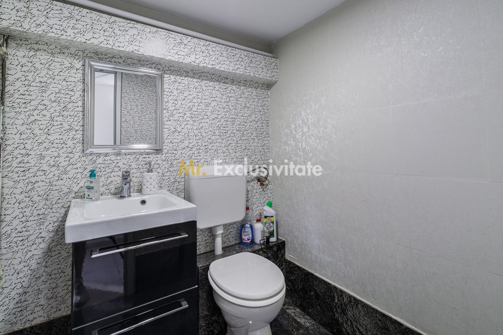 Spatiu Comercial Gorjului-Timisoara - Poză 2