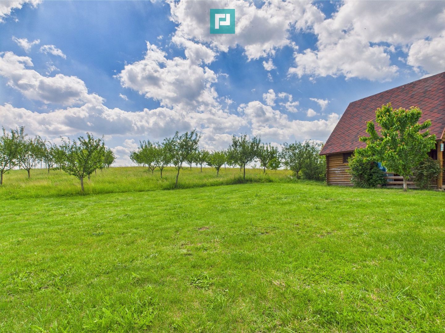 Teren cu baltă- oportunități multiple la Fibiș - Poză 33