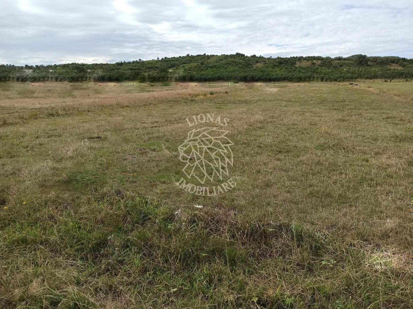 TEREN INTRAVILAN 5000 mp-ideal case,hale-Livezile PRET PROMO! - Poză 1