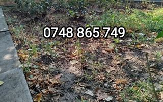 OPORTUNITATE ! Casa 3 C 100 m  + teren 350 m , P de Piatra_Palas Campus - Poză 1