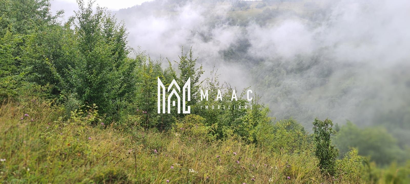 Super ofertă 35000 teren in Muntii Apuseni - Poză 13