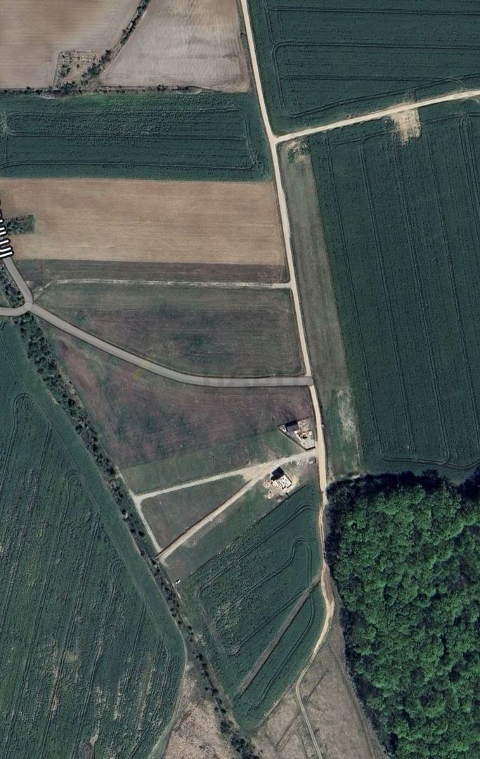 Teren | Poiana Ciolpani | Iris Orangerie - Poză 3