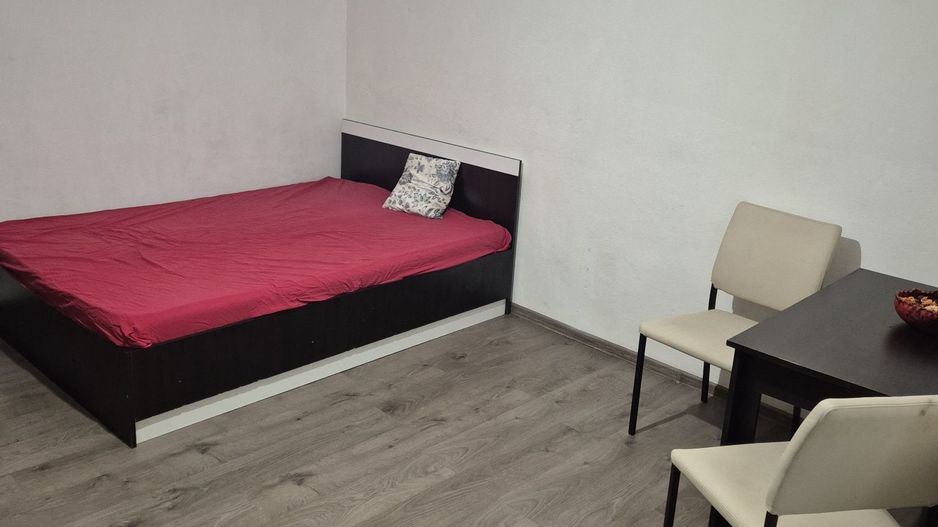 Garsoniera de închiriat- Brazdă lui Novac - Poză 3
