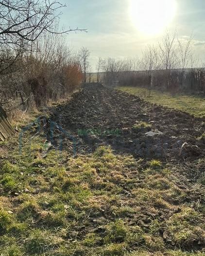 Casa Batraneasca 100 MP + teren intravilan 400 MP, 4500 MP extravilan - Poză 8