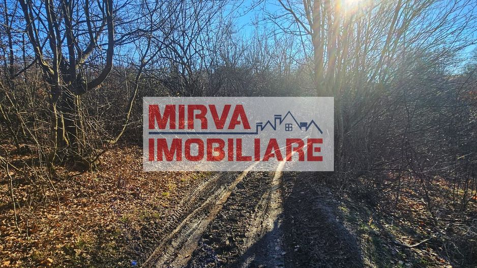 Teren intravilan 1.000 mp – Seciu, 2 deschideri, Priveliște panoramica - Poză 16