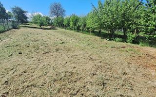 Casa 4 Camere | 1300 mp Teren | Miercurea Sibiului - Poză 4