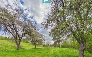 Casă cu teren de 17.681 mp, în loc. Hălmăgel, Arad - Poză 11