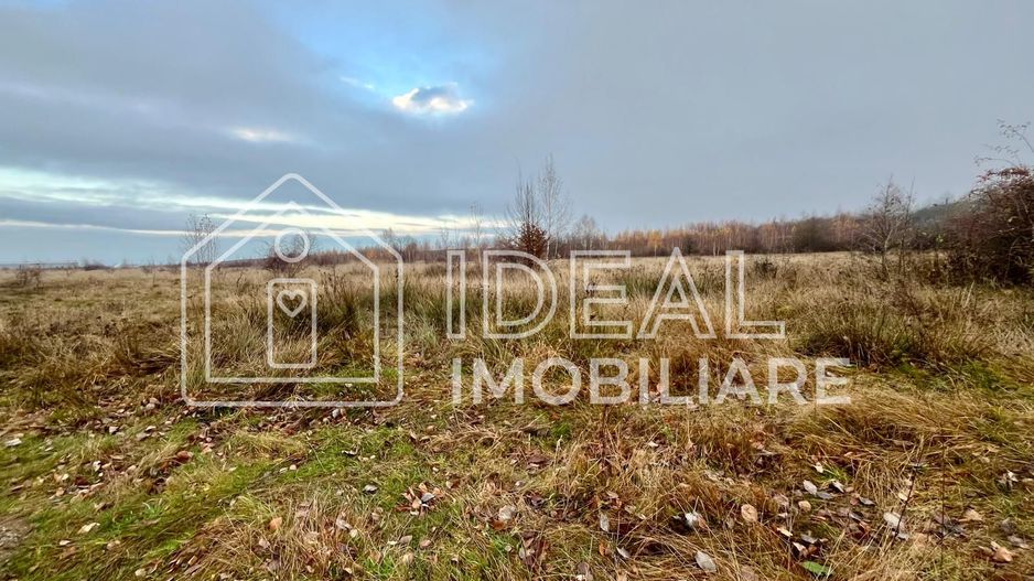 Teren extravilan 6.500 mp – Cârțișoara | Comision 0% - Poză 5