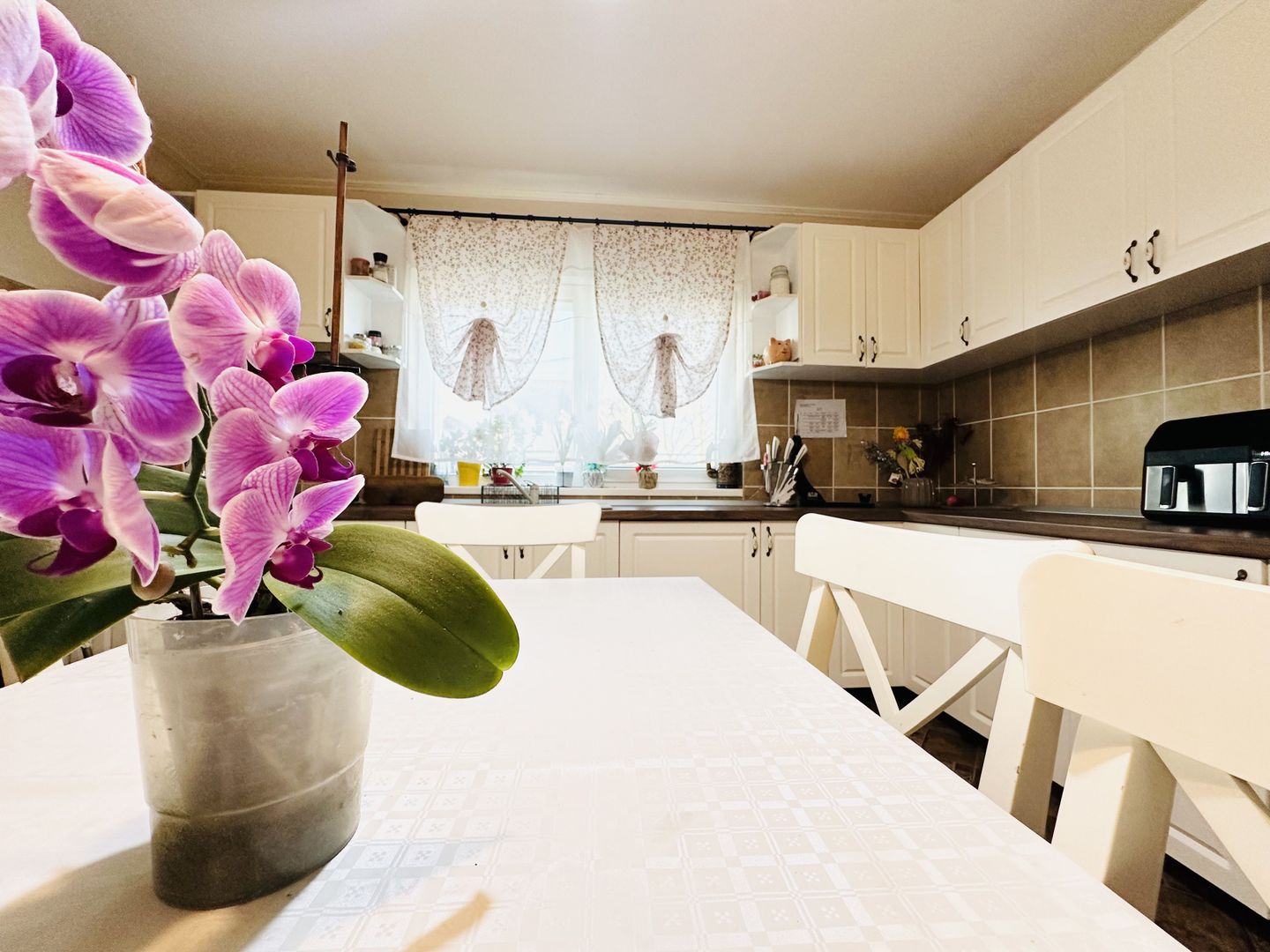 Vila individuala Sacalaz | 5 camere 191 mp, teren 503 mp | Comision 0% - Poză 2