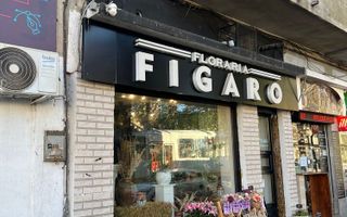 Spatiu comercial Pache Protopopescu - Poză 1