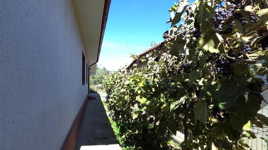 Castelu - Str. Florilor, casa din 2012, teren 737 mp si 106 mp utili - Poză 28