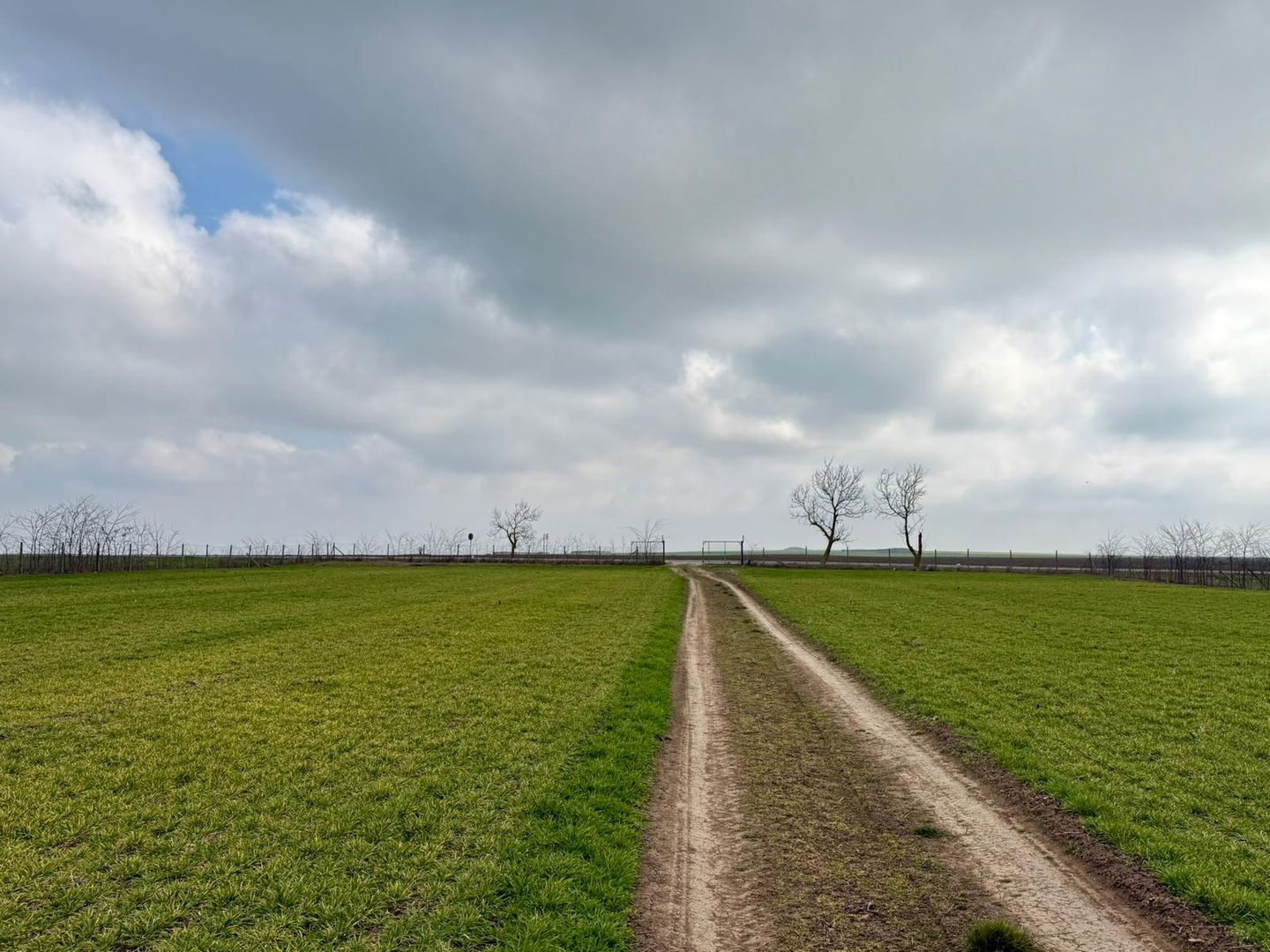Teren de vanzare in Săcele ideal pentru silozuri, fermă 6 ha - Poză 16