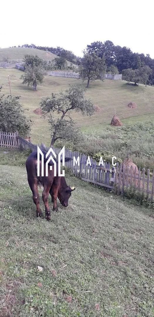 Proprietate cu 60000 mp pamant la pret de apartament - Poză 22