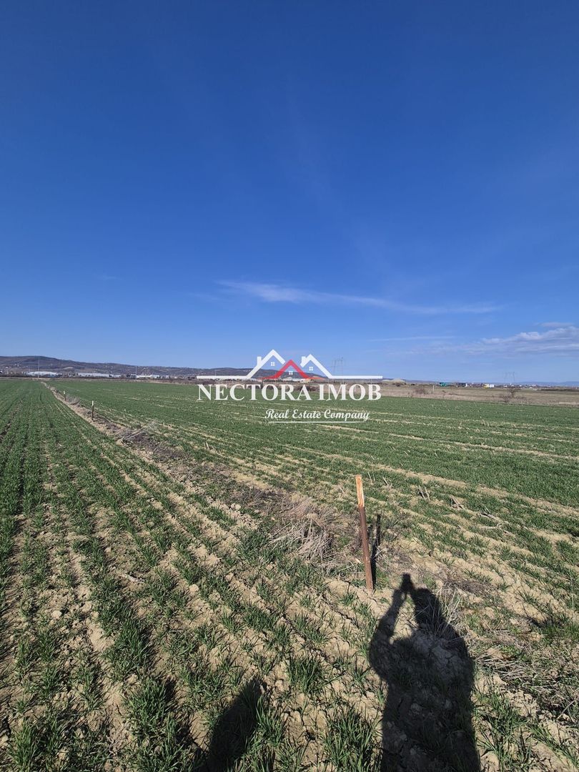 NECTORA IMOB-Teren Intravilan 537 mp, Zona Solay, 250 m de asfalt - Poză 2