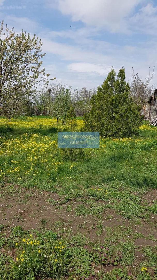 Teren 2.600 mp, utilități, Str. Merișor – Giurgiu - Poză 10