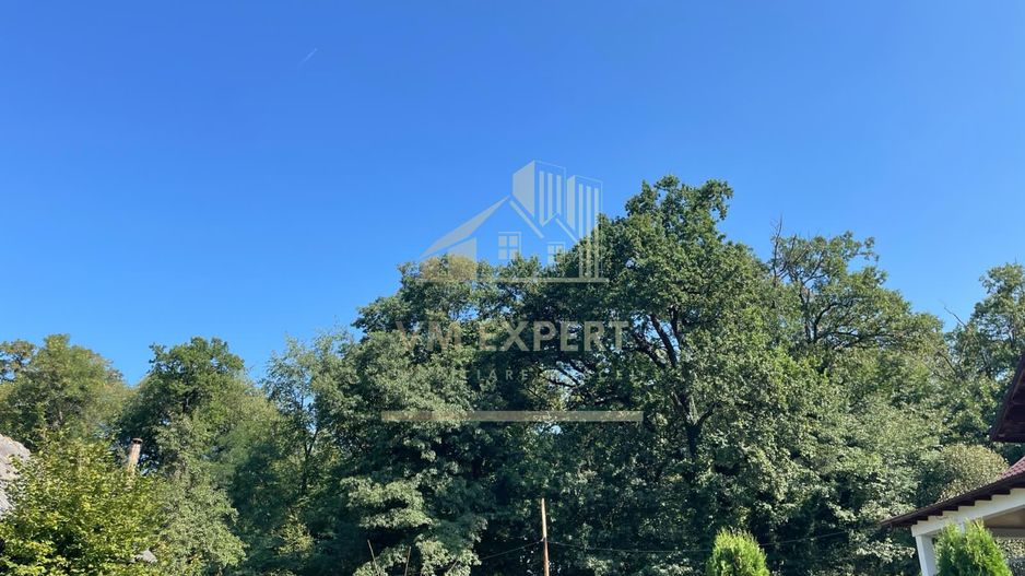 TEREN INTRAVILAN 1800 MP MIHAESTI ARGES COMISION 0 - Poză 5