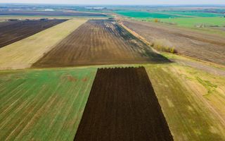 Teren Sânpaul lângă șosea - Poză 2
