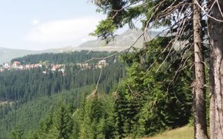 Cabană în Rânca cu 500 mp teren și panoramă impresionantă - Poză 5