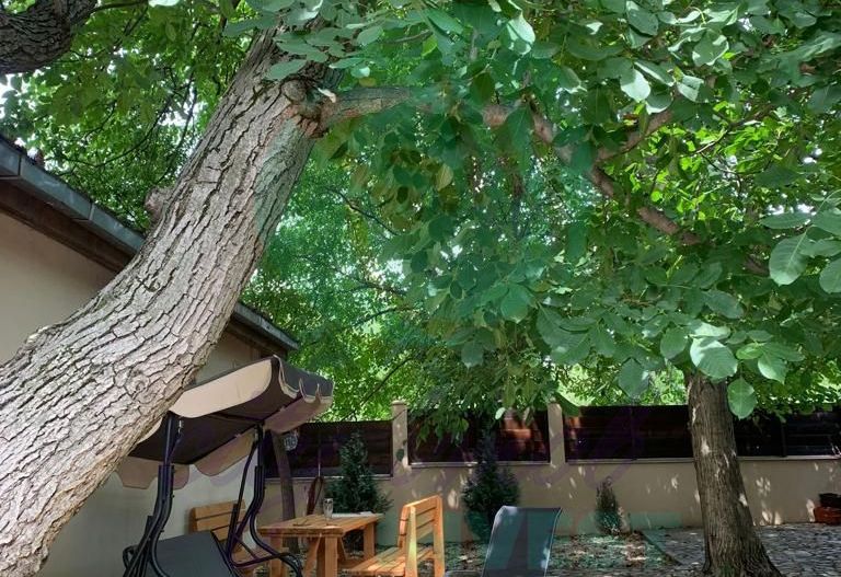 Silistea Snagovului-Casa de VACANTA  cu piscina - Poză 18