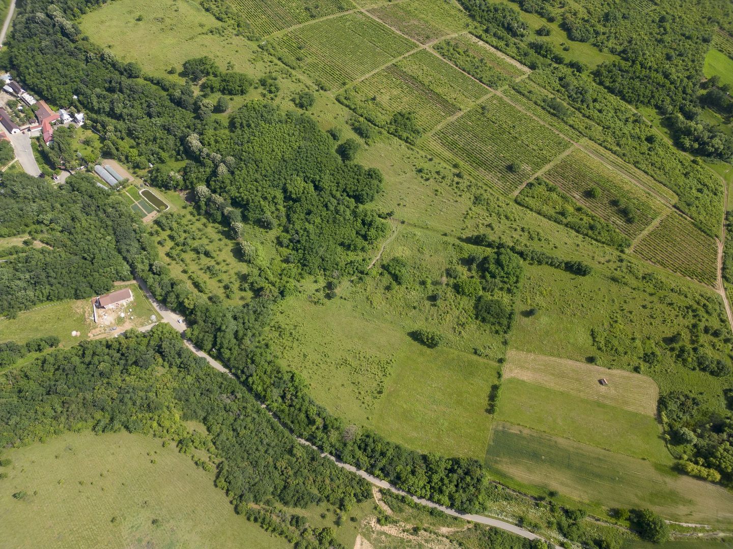 Teren intravilan lîngă Mănăstirea Feredeu - Poză 17