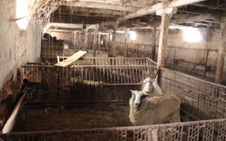 Ferma de Vânzare – Oportunitate Unică! - Poză 6