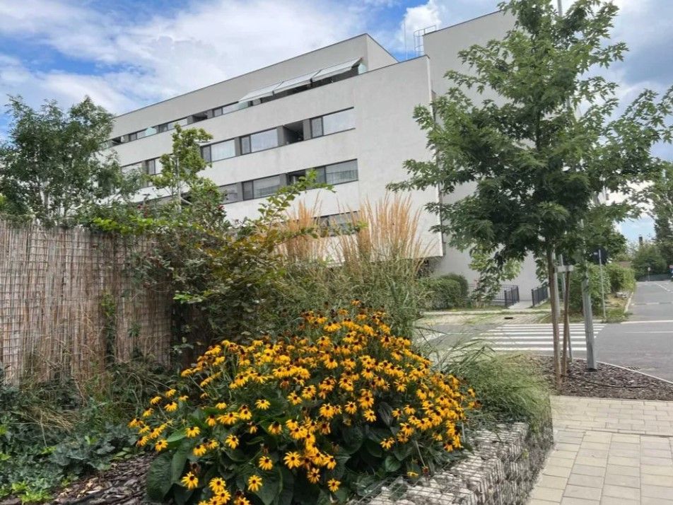 Apartament 3 camere Sectorul 1 - Lângă Lacul Străulești - Poză 18