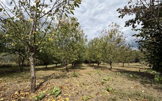 Teren 3200 mp în Osoi, comuna Comarna, cu deschidere de 36 ml la DN28 - Poză 2