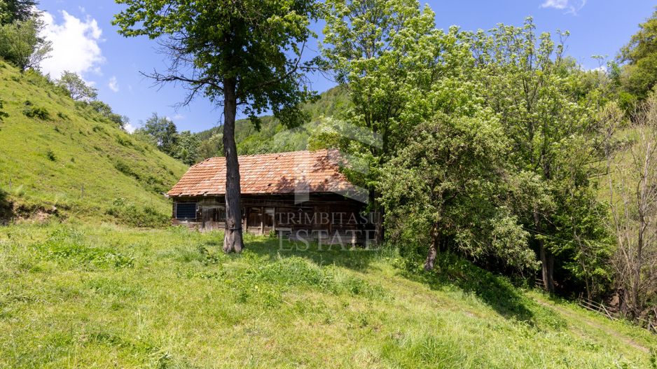 Moieciu de Jos |Teren 11.381 mp | Panoramă, potențial turistic - Poză 14