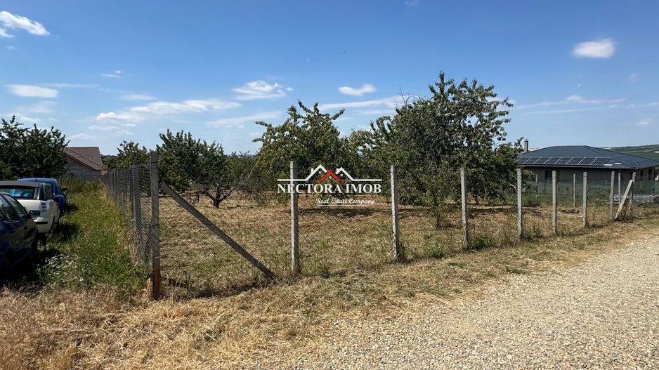 NECTORA IMOB-Teren INTRAVILAN 1000 mp, Zona PALEU, Utilitati incluse - Poză 7