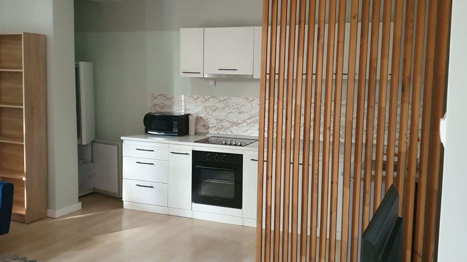 De inchiriat apartament cu o camera, centru, etaj 1, 400 E - Poză 2