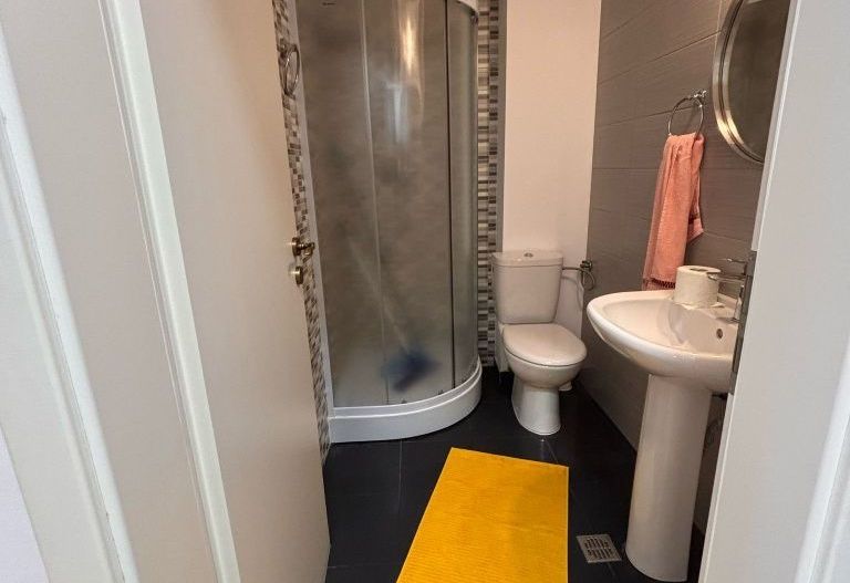 Apartament Premium 3 camere, complet mobilat si utilat,  Brâncuși - Poză 7