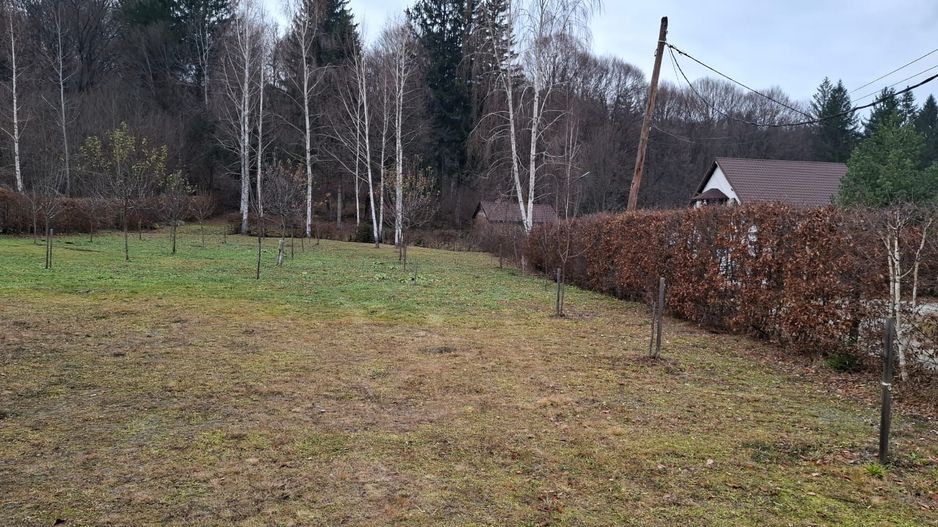 Teren intravilan, livada, langa padure,  pe Valea Avrigului - Sibiu - Poză 7